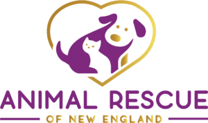Animal Rescue League of New England